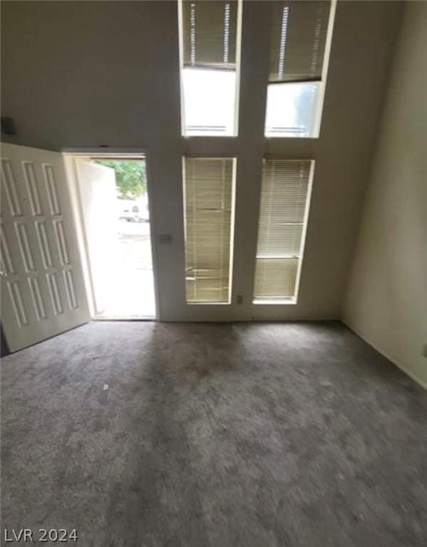 unfurnished room with carpet and a high ceiling