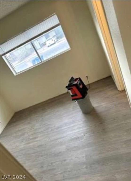 bonus room with a skylight and light hardwood / wood-style flooring