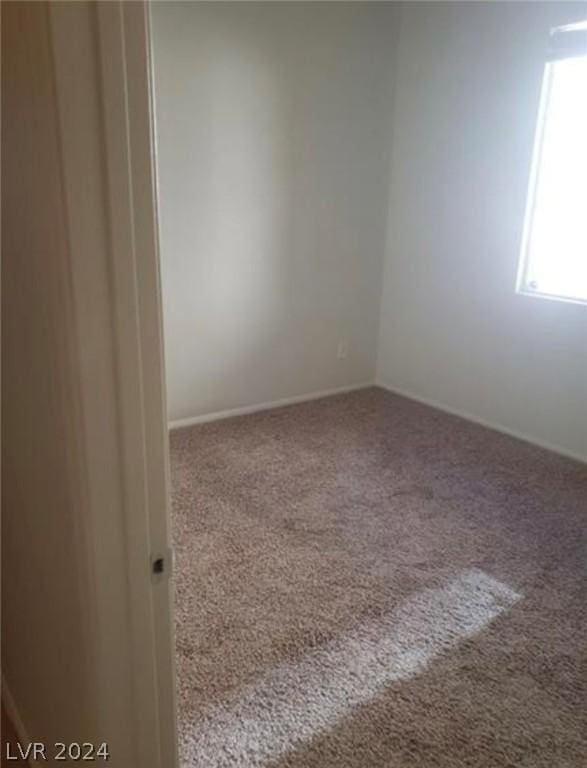 spare room featuring carpet flooring