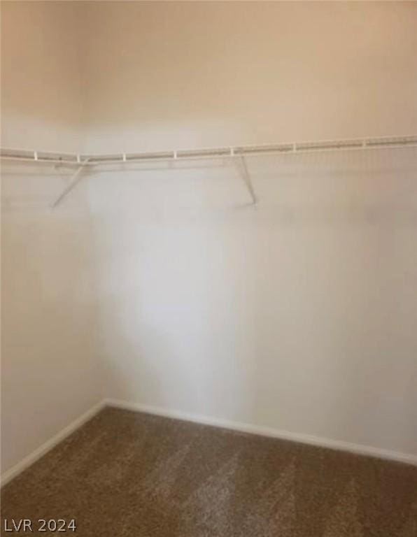 spacious closet featuring carpet flooring