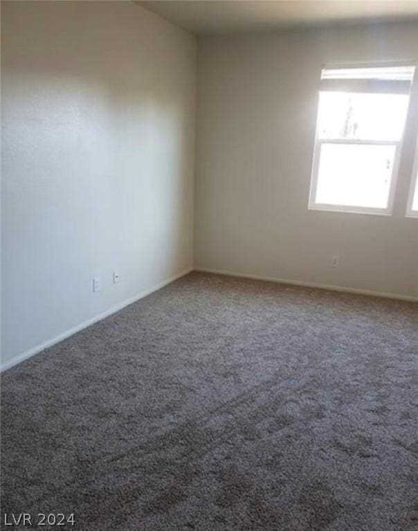 spare room with carpet floors