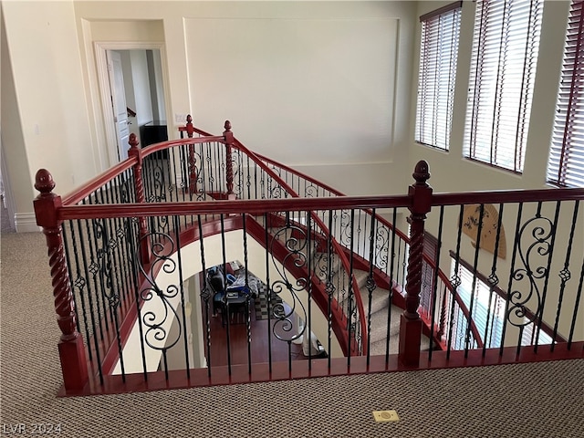 staircase featuring plenty of natural light and carpet flooring