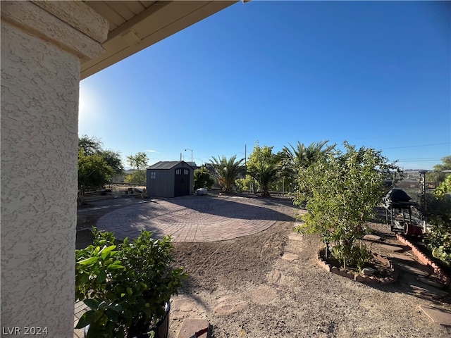 view of yard with a patio and a storage unit