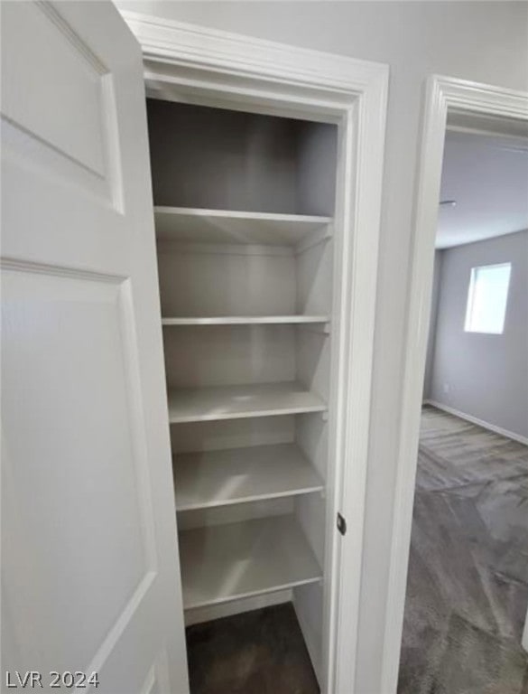 view of closet