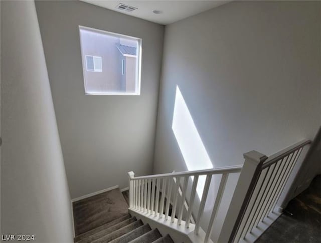 staircase with carpet flooring