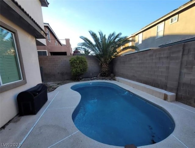 view of pool featuring a patio