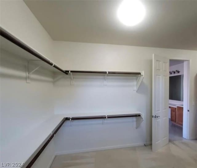 view of spacious closet