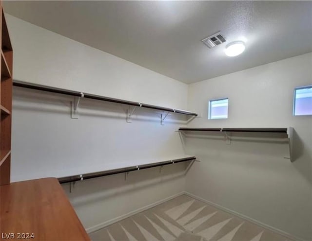 spacious closet featuring carpet