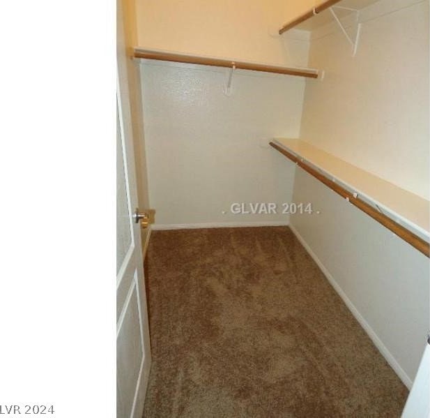 spacious closet with carpet