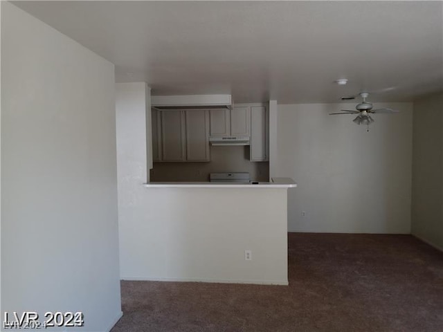 interior space featuring stove, ceiling fan, and dark colored carpet