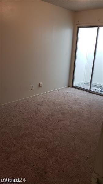 spare room with carpet flooring