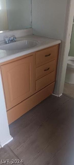 bathroom with vanity and wood-type flooring