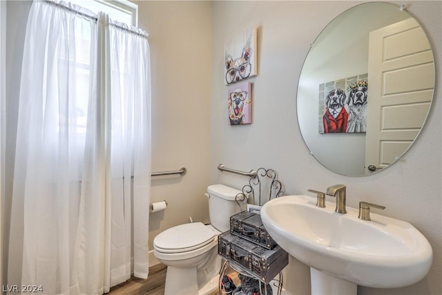 bathroom with wood-type flooring, toilet, and sink