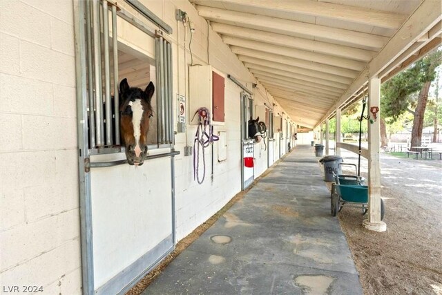 view of horse barn