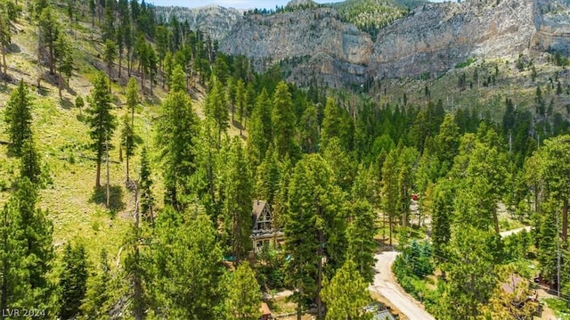 birds eye view of property with a mountain view