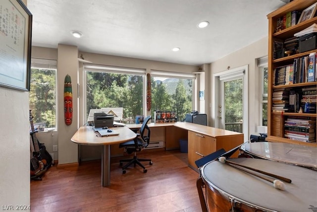 office featuring dark wood-type flooring