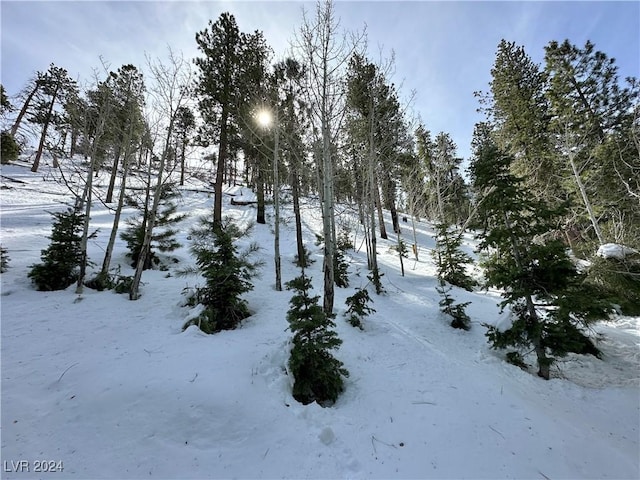 view of yard covered in snow