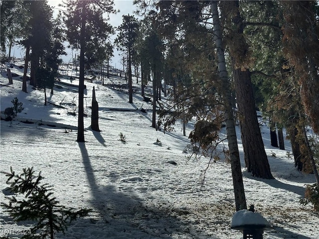 view of yard layered in snow