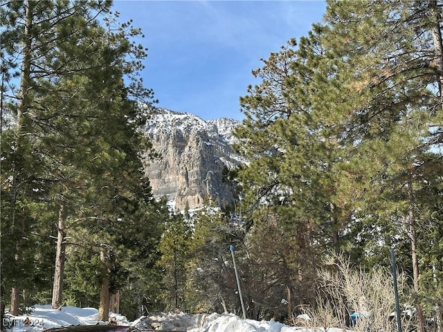 property view of mountains