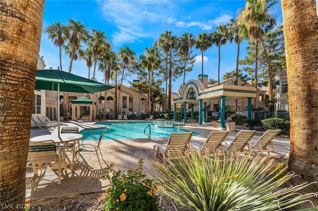 view of pool featuring a patio