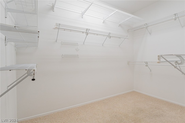 spacious closet featuring carpet floors