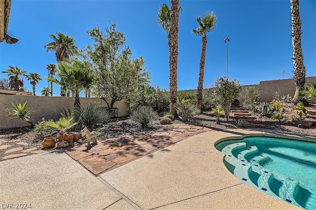 view of swimming pool with a patio