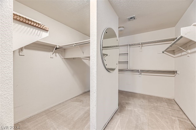 spacious closet with light carpet