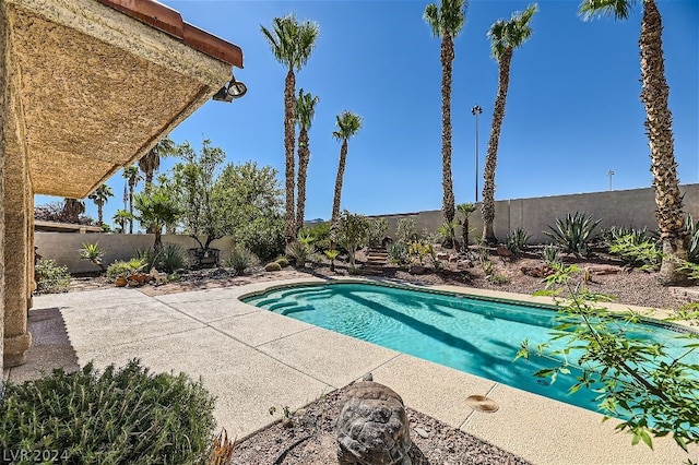 view of pool with a patio