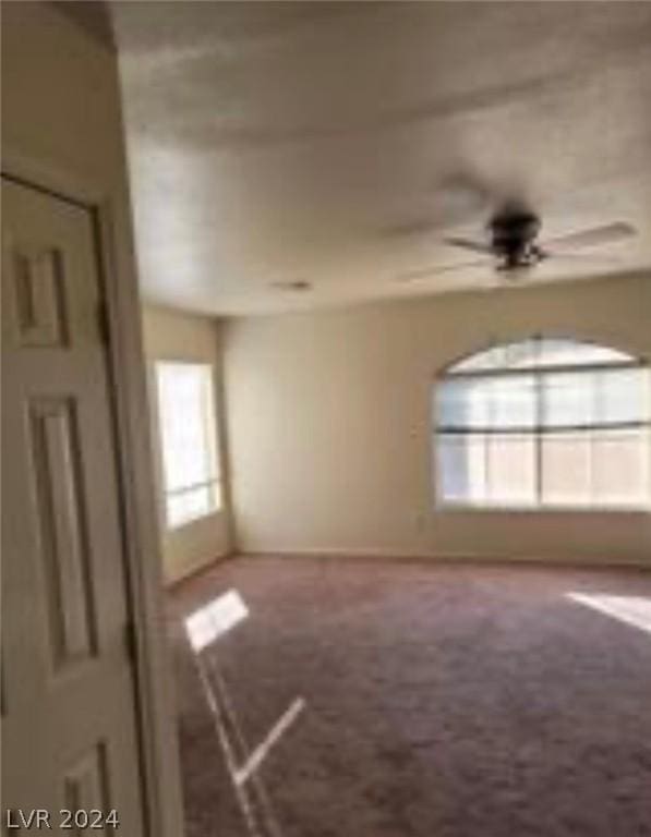 empty room with carpet floors, plenty of natural light, and ceiling fan