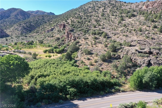 Listing photo 2 for Yellow Brick Rd Unit 2.62 Ac, Caliente NV 89008