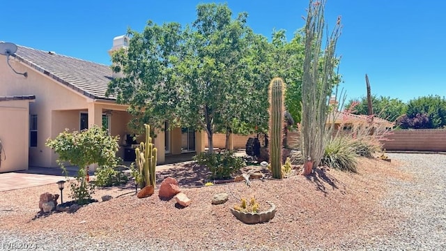 view of yard featuring a patio area