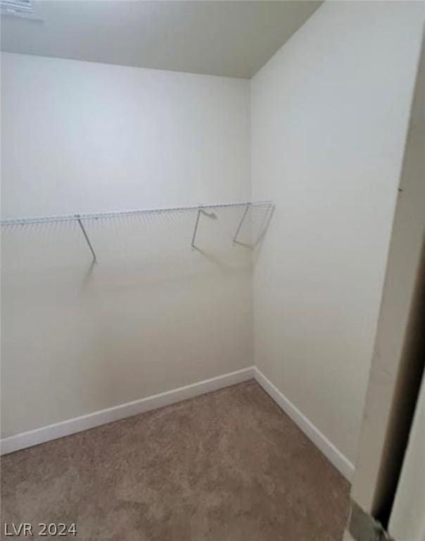 spacious closet featuring carpet