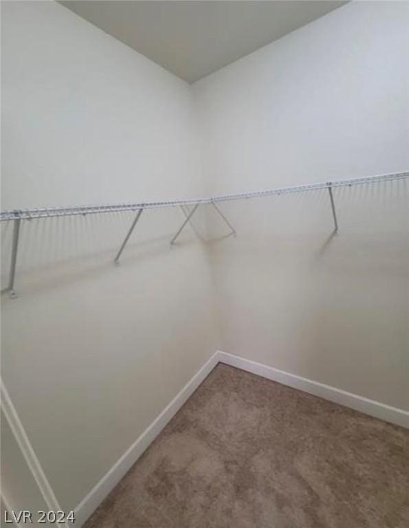 spacious closet featuring carpet floors