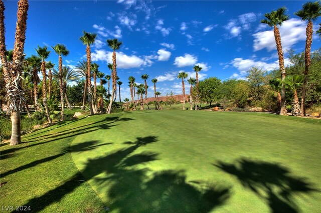 8 Sardana Ct, Henderson, NV 89011 - photo 20