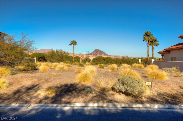 8 Sardana Ct, Henderson, NV 89011 - photo 9
