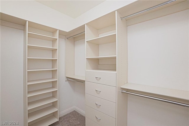 spacious closet featuring carpet