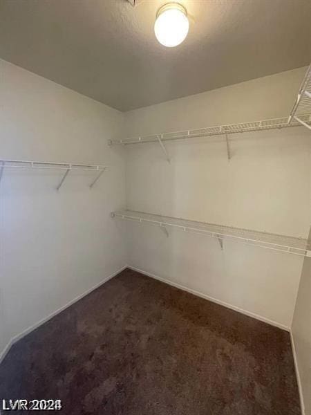 walk in closet with dark colored carpet