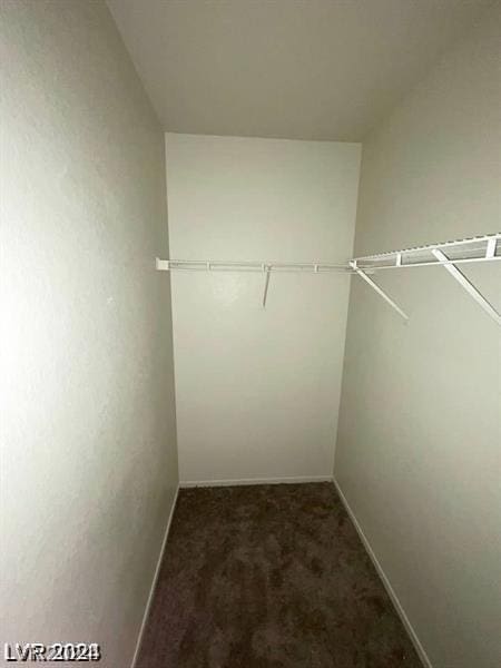 spacious closet featuring carpet floors