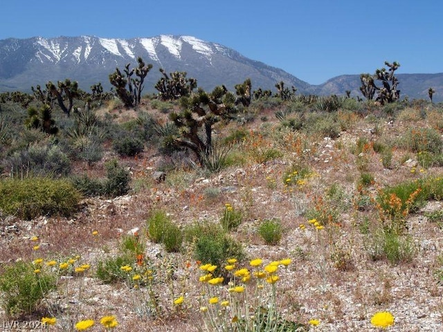 view of mountain feature