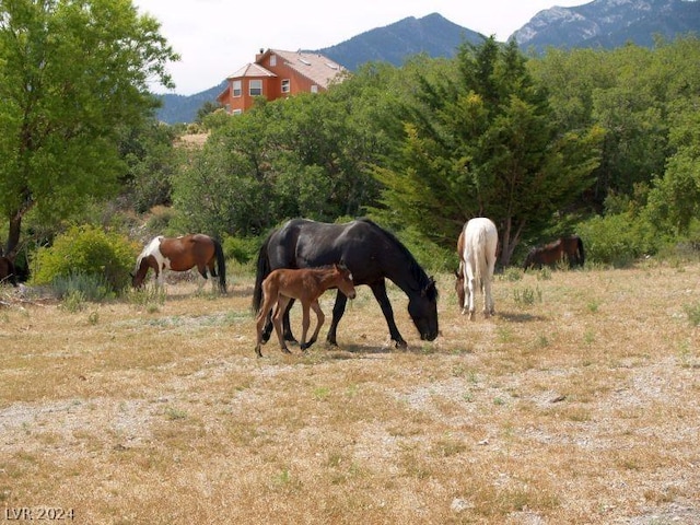 exterior space featuring a rural view and a mountain view