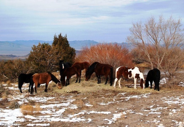 view of horse barn featuring a mountain view and a rural view