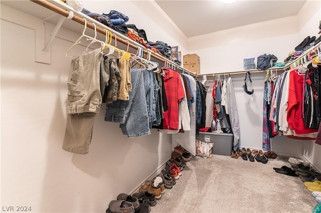 spacious closet with carpet floors