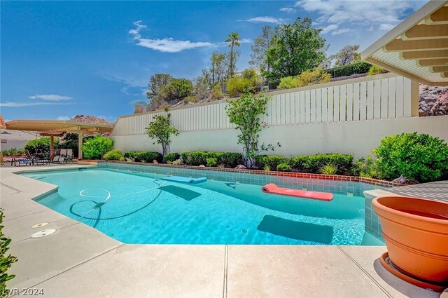 view of swimming pool featuring a patio