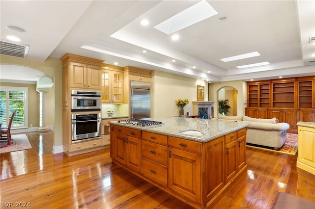 kitchen with light stone counters, sink, a tray ceiling, and stainless steel appliances