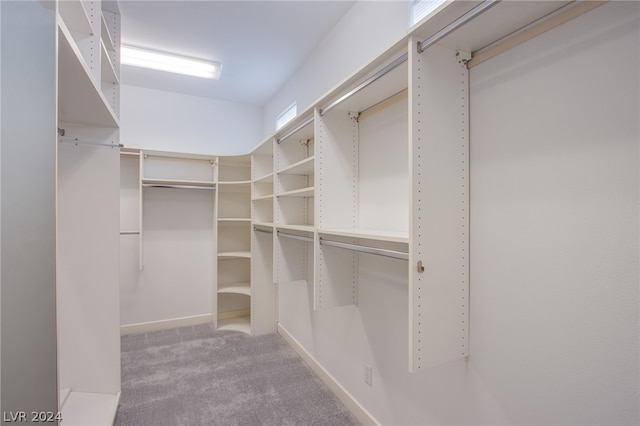 walk in closet with carpet