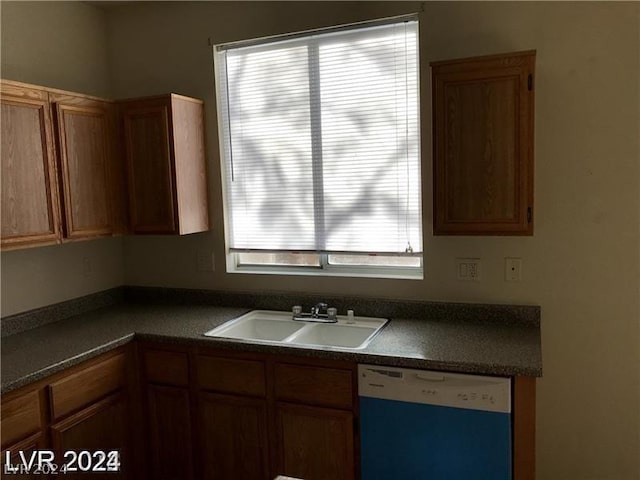 kitchen featuring sink, dishwasher, and a healthy amount of sunlight