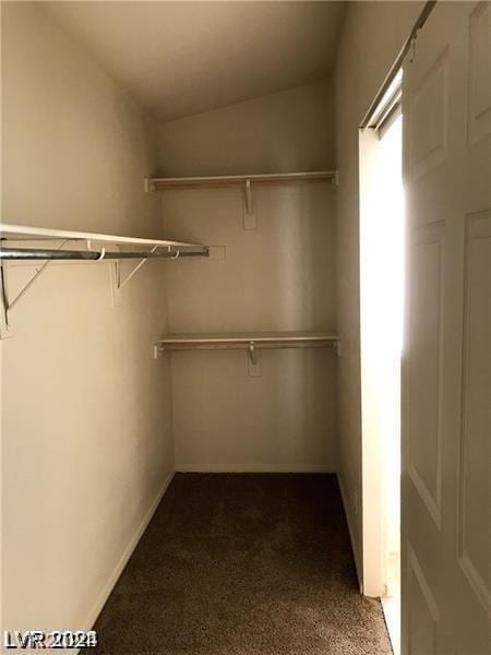 walk in closet featuring dark carpet