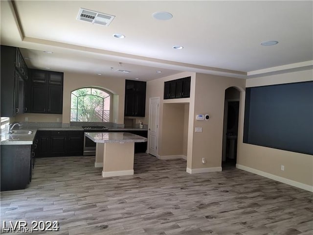 kitchen with light hardwood / wood-style flooring, a center island, sink, and stainless steel stove