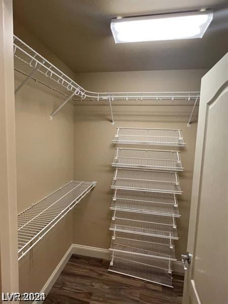 spacious closet featuring dark wood-type flooring