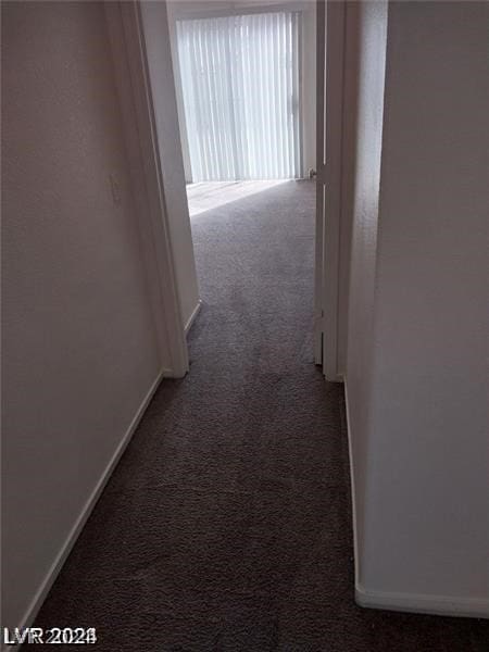 hallway with carpet floors